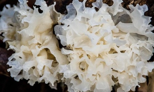 铝镁匹林片的商品名-【铝镁匹林片贵吗】铝镁匹林片的价格 - 铝镁匹林片价格贵网